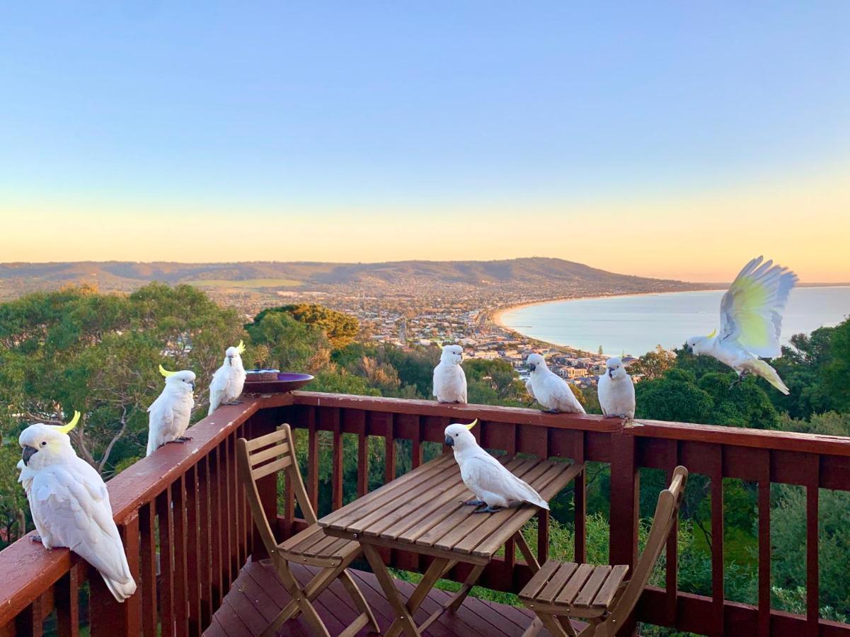 Вилла Kinoie Mornington - Oceanview Маунт-Марта Экстерьер фото